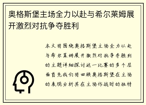 奥格斯堡主场全力以赴与希尔莱姆展开激烈对抗争夺胜利