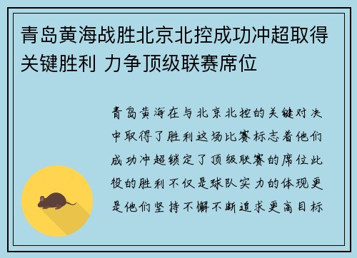 青岛黄海战胜北京北控成功冲超取得关键胜利 力争顶级联赛席位